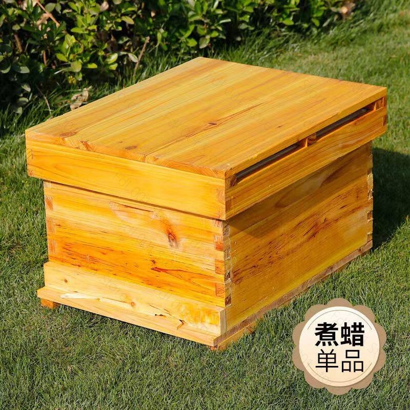 Kit Completo de Colmeia com 10 - Beehive Frame Wax avaliação e preço