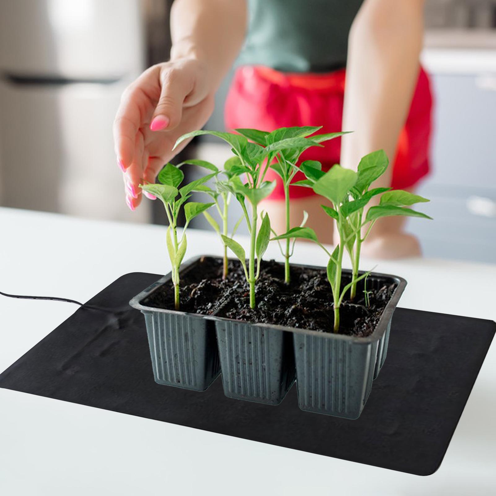 Tapete Térmico para Sementes d - Seedling Heat Mat avaliação e preço